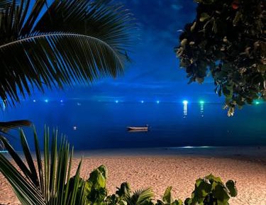 Villa - Beach Front