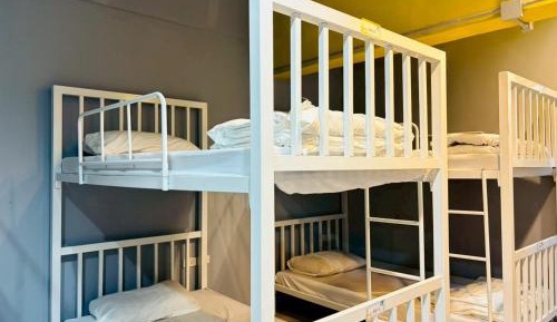 Bunk Bed in Female Dormitory Room  