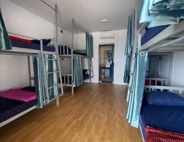Bed in 8-Bed Mixed Dormitory Room