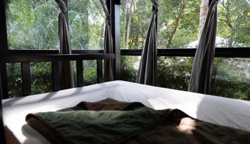 Bed in 6-Bed Dormitory Room