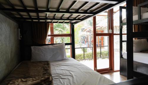 Bed in 8-Bed Mixed Dormitory Room