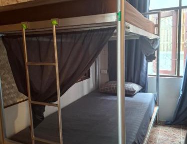 Bunk Bed in Mixed Dormitory Room