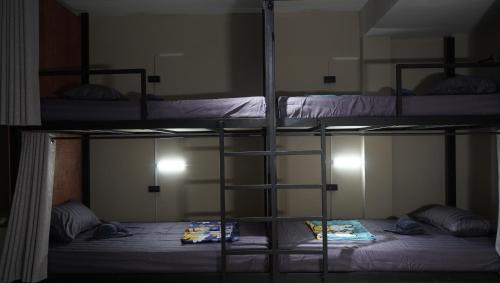 Bunk Bed in Mixed Dormitory Room