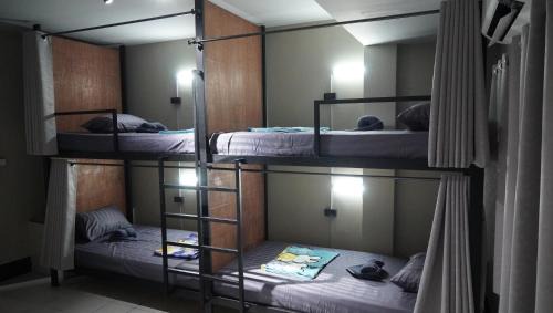 Bunk Bed in Mixed Dormitory Room