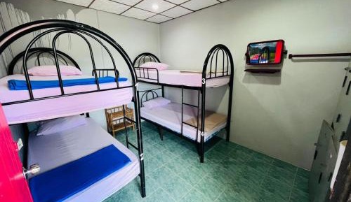 Bunk Bed in Mixed Dormitory Room