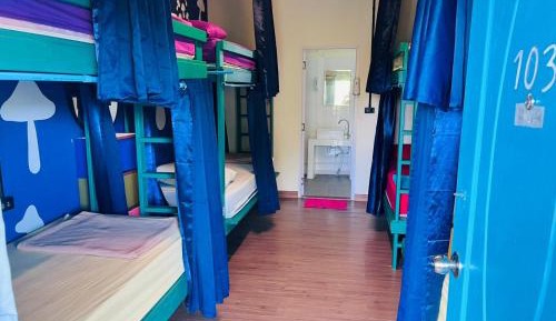 Single Bed in Female Dormitory Room