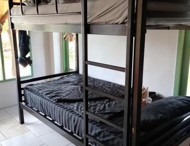 Bunk Bed in Mixed Dormitory Room