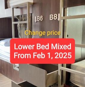 Lower-Bunk Bed in Mixed Dormitory Room