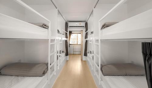 Bunk Bed in Mixed Dormitory Room