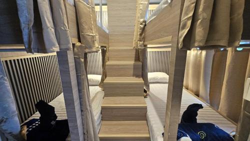 Bunk Bed in Mixed Dormitory Room