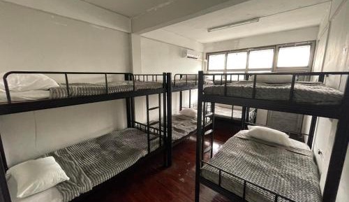 Bunk Bed in Mixed Dormitory Room