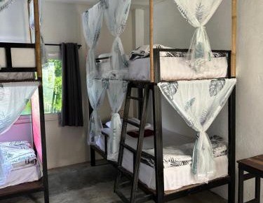 Bed in 6-Bed Dormitory Room