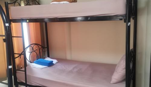 Bunk Bed in Mixed Dormitory Room