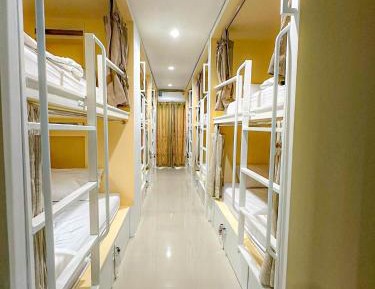 Bunk Bed in Mixed Dormitory Room