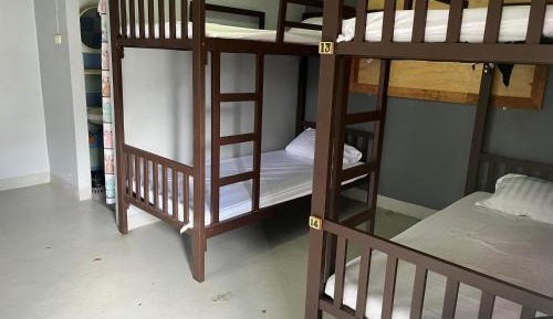 Bunk Bed in Female Dormitory Room  