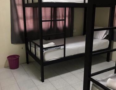 Bed in 4-Bed Dormitory Room