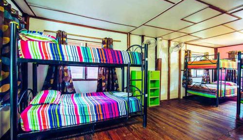 Bunk Bed in Mixed Dormitory Room