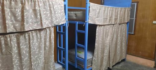 Single Bed in Mixed Dormitory Room