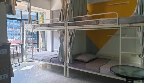Bunk Bed in Mixed Dormitory Room