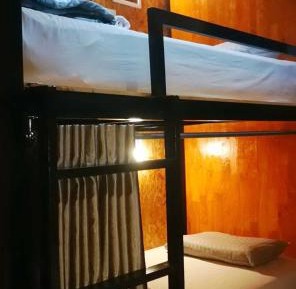 Bunk Bed in Mixed Dormitory Room