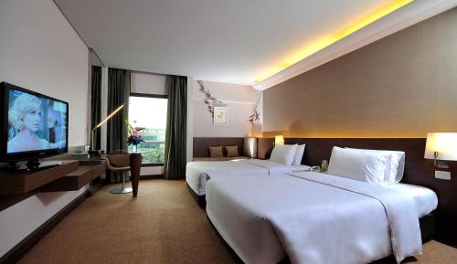 Superior Double or Twin Room