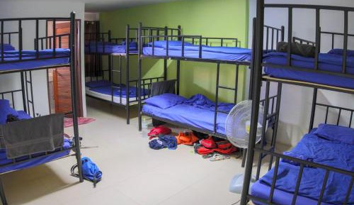 Bed in 8-Bed Mixed Dormitory Room