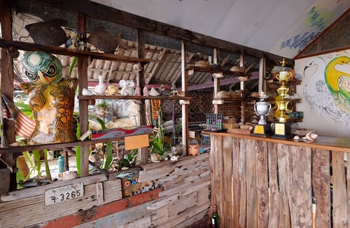 Saladan Hostel | Peacock Hostel
