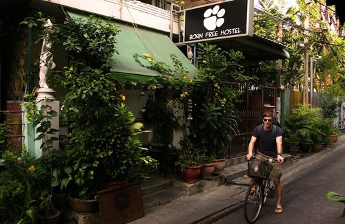 Ban Phan Thom Hostel | Born Free Hostel