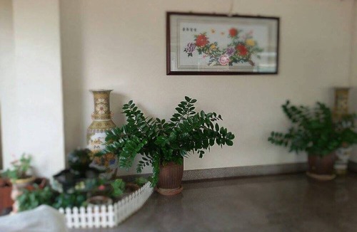 Chumphon Hotel | Ritzy House Hotel