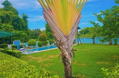 Central Pattaya House | Pattaya Pool Villa 3 Bedrooms