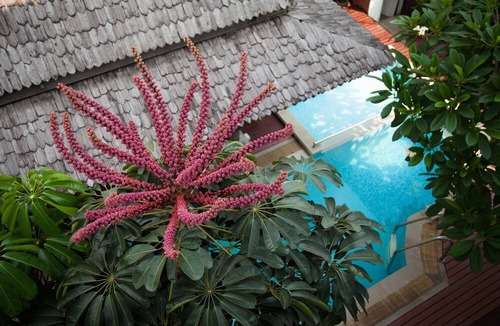Bang Phlat Hotel | Charlie House Pinklao
