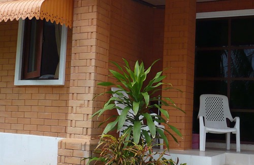 Bophut Hostel | Monkey Samui Hostel