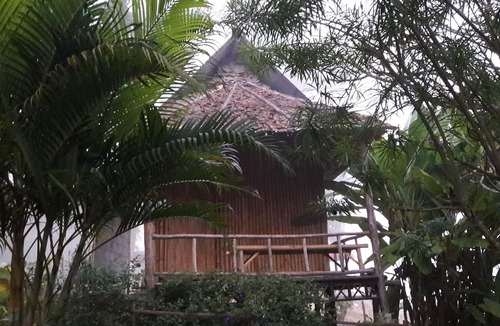 Pai Hotel | Nusha Homestay