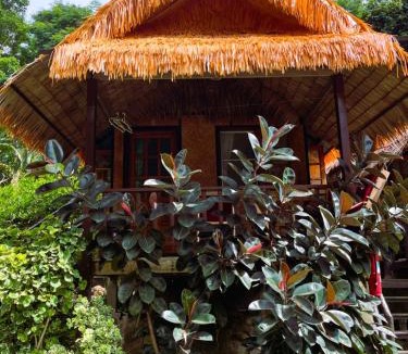 Bai Lan House | Jungle Garden