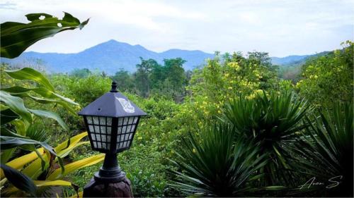 Suan Phueng Resort | Phumalida Resort