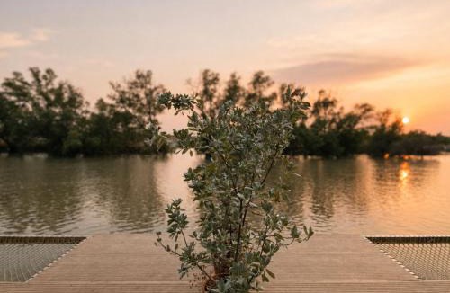 Ban Khlong Tamru Resort | rimbaymangroveresort