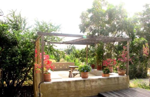 Pak Nam Pran Resort | Pranberry Earth