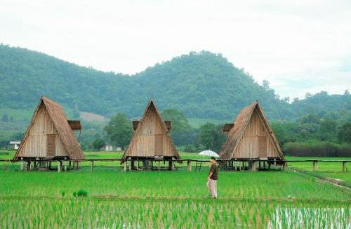 Ban Ton Lung Cabin | Khao Kiang Na เขา เคียง นา