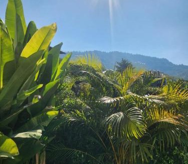 Maret Villa | Villa TEVA - Piscine Privée - 5 minutes de marche des Plages - Lamai