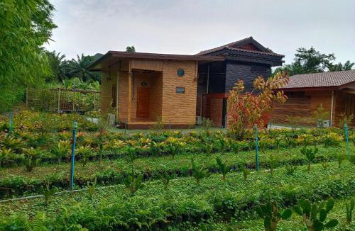Tha Chana House | สวนไผ่ เดอะ คาเฟ่