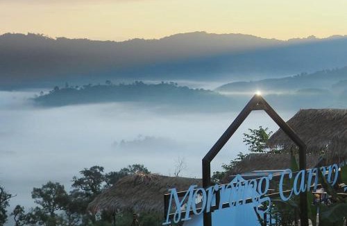 Pong Other | Morning camp