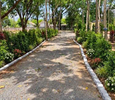 Lat Ya Other | Riverside Glamping Resort Kanchanaburi