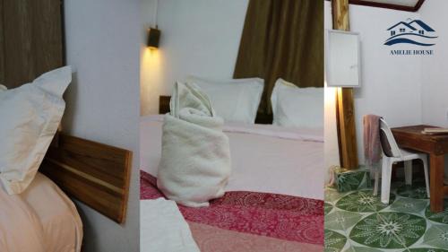 Luang Prabang Hostel | Amelie Guesthouse
