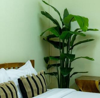 Huay Kaew House | Nimman In -5 Private Suites House Near Maya Mall