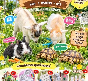Khao Rup Chang Hotel | สงขลาคีรี รีสอร์ท SongkhlaKeeree Resort