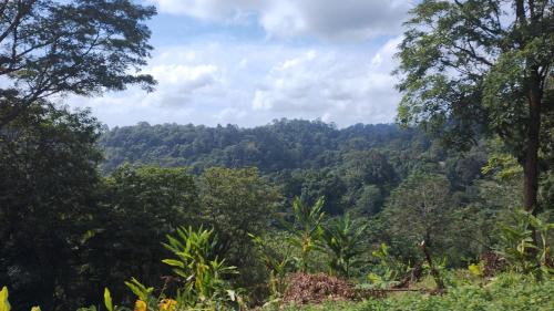 Luang Nuea Other | EnDanni ChiangMai