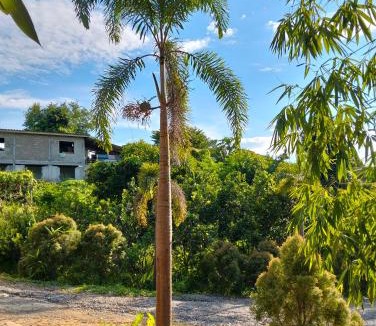 Sop Poeng House | โฮมสเตย์บ้านสวนน้องโมเน่