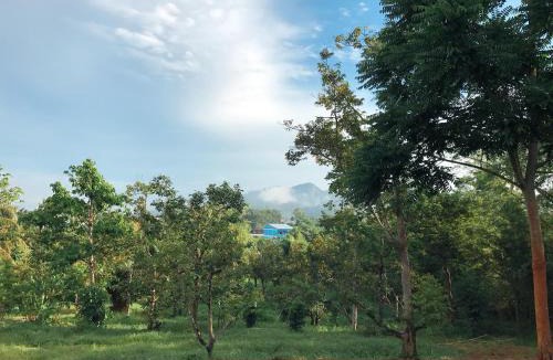 Pak Nam Resort | The Box House