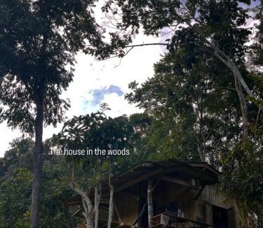 Samoeng House | Chibacall ชิบะคอล Karen Mountains Hideaway Homestay