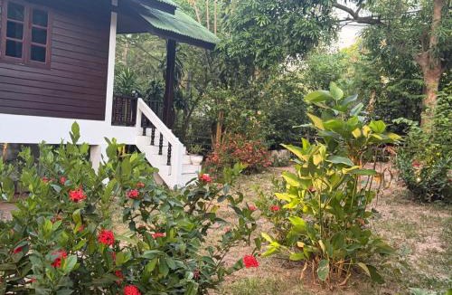 Wok Tum Apartment | Siam phangan